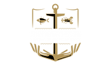 profishstunner logo-02.png
